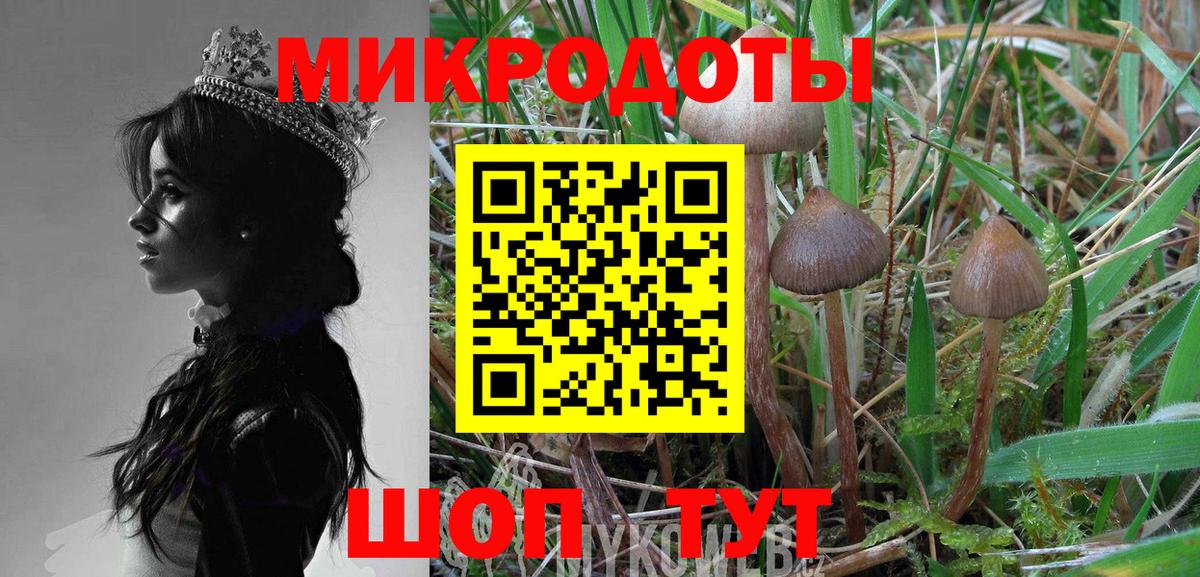 Галлюциногенные грибы GOLDEN TEACHER  Вход с VPN  Медногорск 
