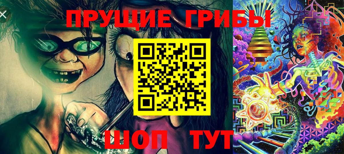 Псилоцибиновые грибы Psilocybe Медногорск
