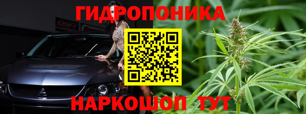 Канабис Amnesia Медногорск